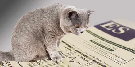 cat reading interactive stock charts